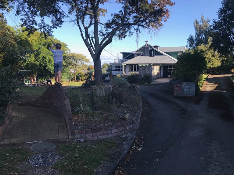 Housesitting assignment in Feilding, New Zealand