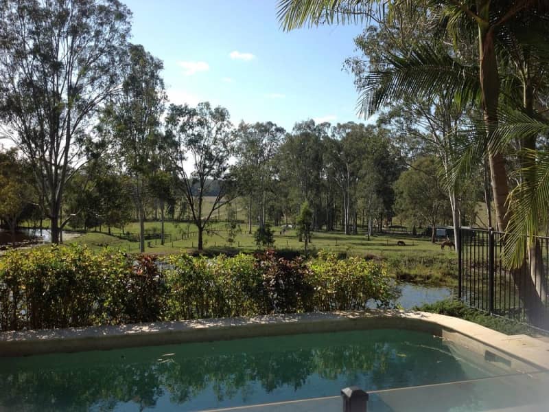 Housesitting assignment in Sunshine Coast, Queensland, Australia