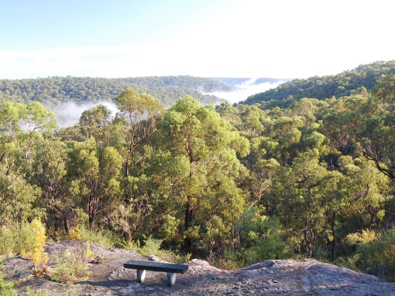 Housesitting assignment in Galston, New South Wales, Australia