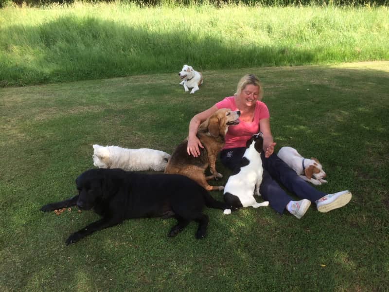 Housesitting assignment in Bergerac, France
