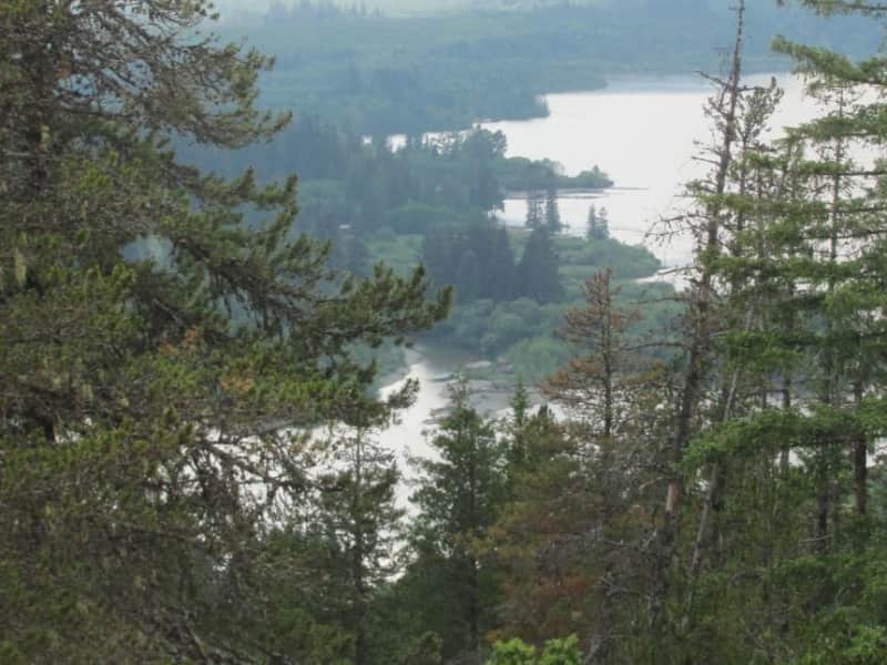 Housesitting assignment in Lake Cowichan, British Columbia, Canada
