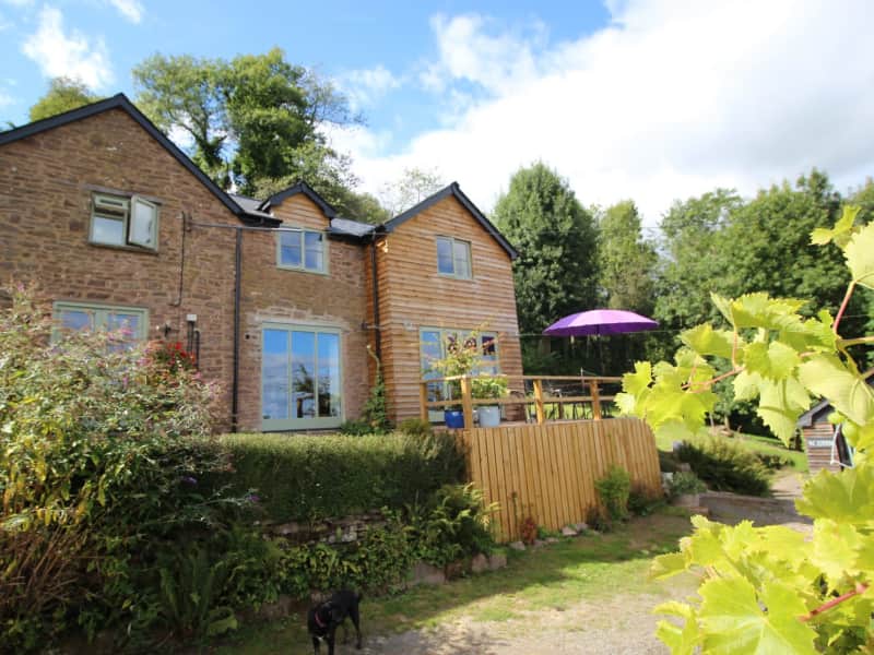 Housesitting assignment in Hereford, United Kingdom