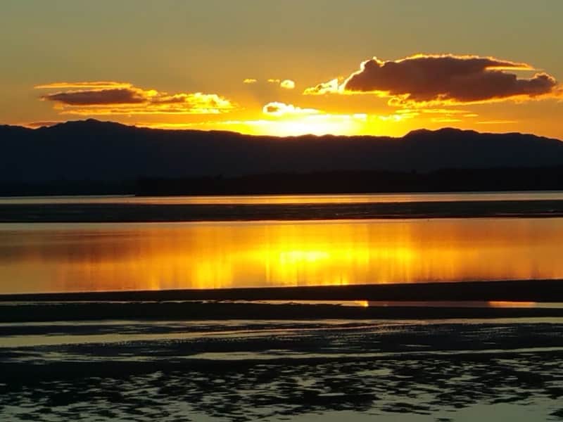 Housesitting assignment in Tauranga, New Zealand