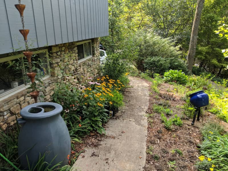 Housesitting assignment in Asheville, North Carolina, United States