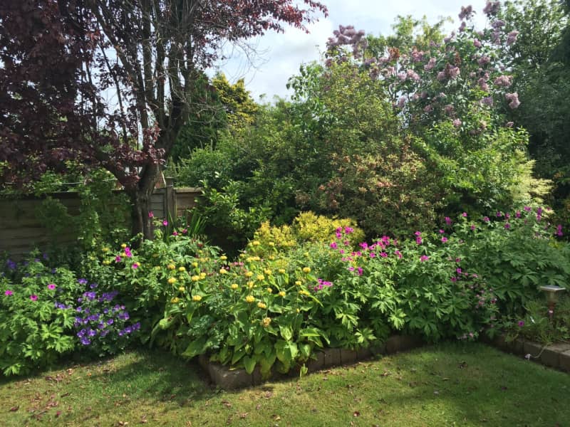 Housesitting assignment in Carlisle, United Kingdom