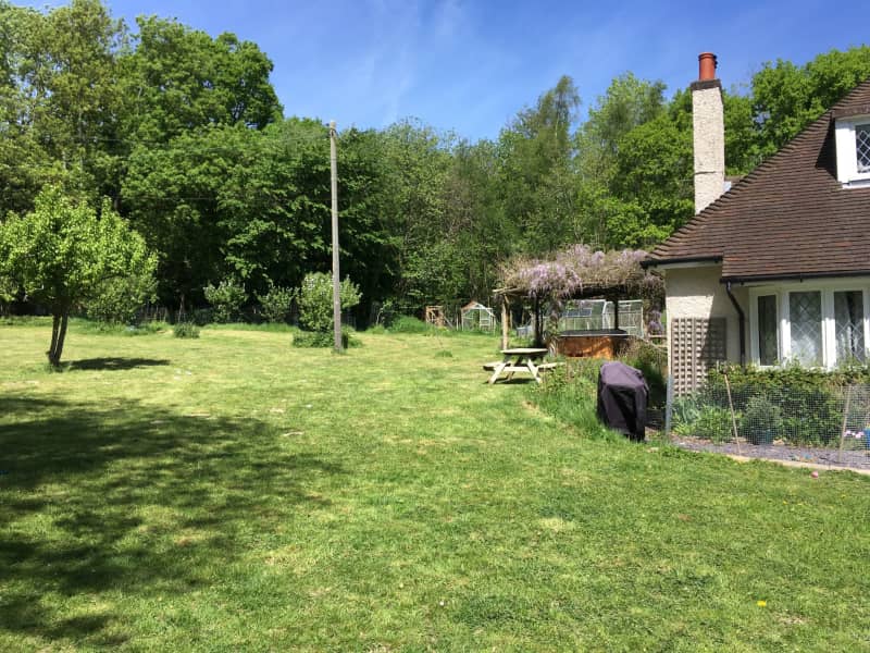 Housesitting assignment in Rushlake Green, United Kingdom
