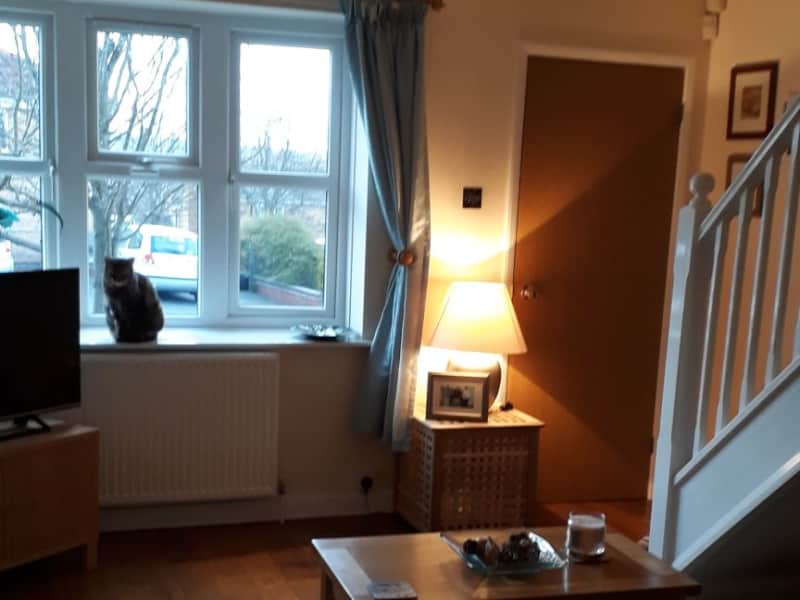 Housesitting assignment in Chesterfield, United Kingdom