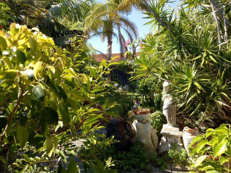 Housesitting assignment in Rockingham, Western Australia, Australia
