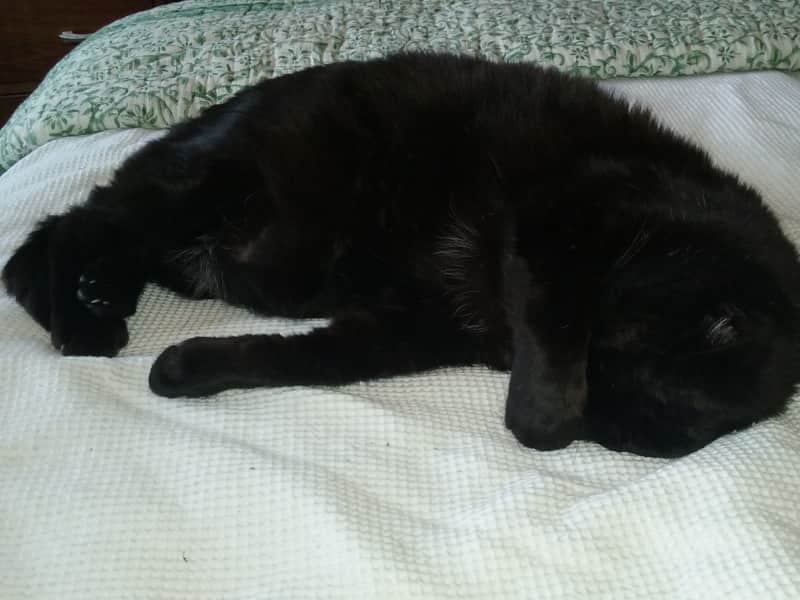 Kristine from Lower Hutt, New Zealand