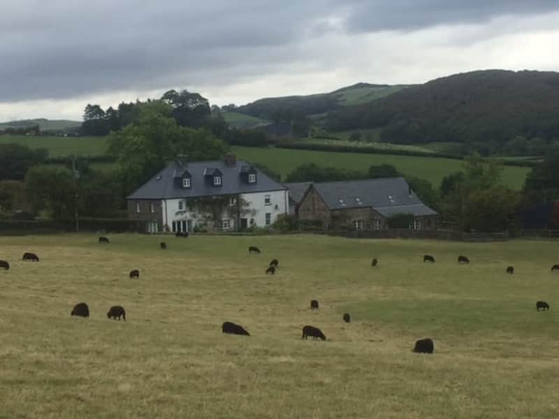 Housesitting assignment in Brecon, United Kingdom