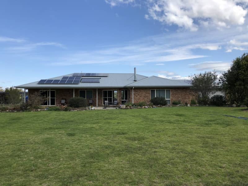 Housesitting assignment in Bemboka, New South Wales, Australia