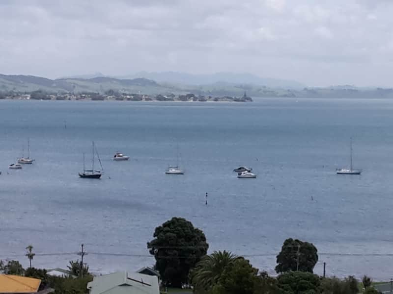 Housesitting assignment in Whangarei Heads, New Zealand