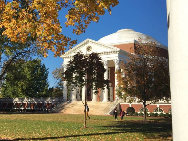 Housesitting assignment in Charlottesville, Virginia, United States