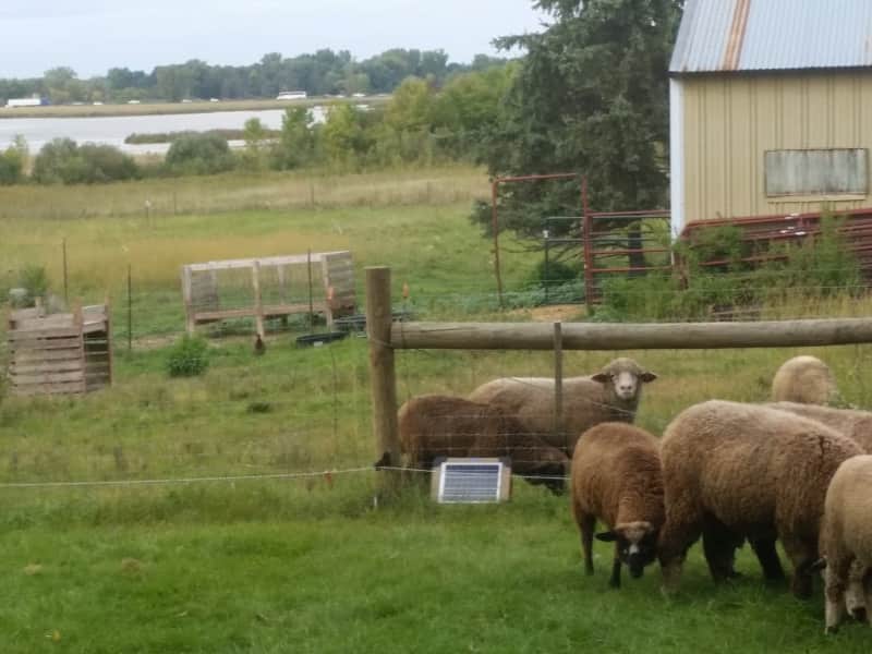 Housesitting assignment in Hugo, Minnesota, United States