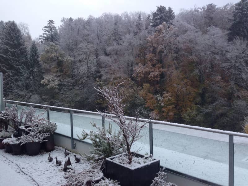 Housesitting assignment in Puidoux, Switzerland