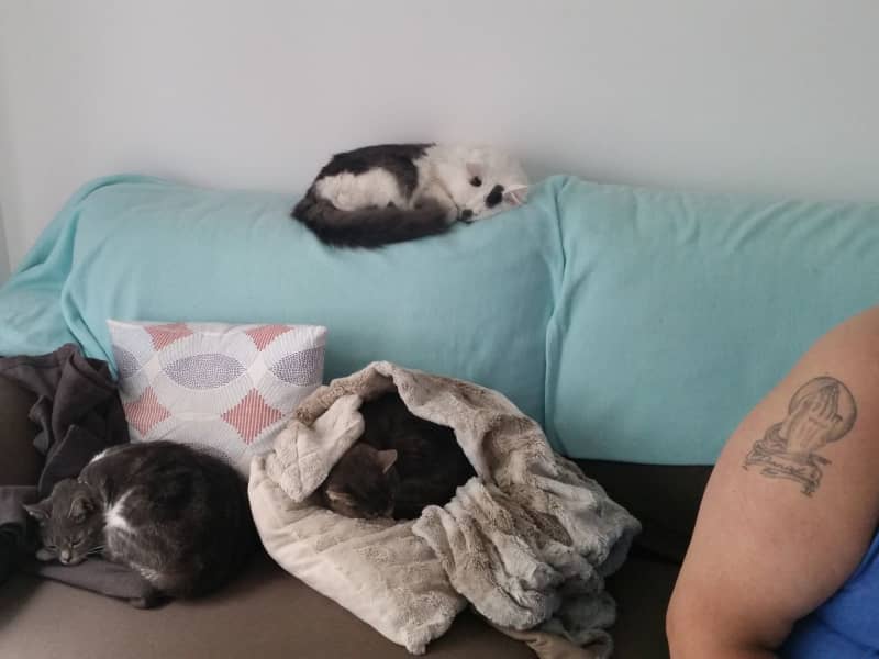 Housesitting assignment in Sitges, Spain