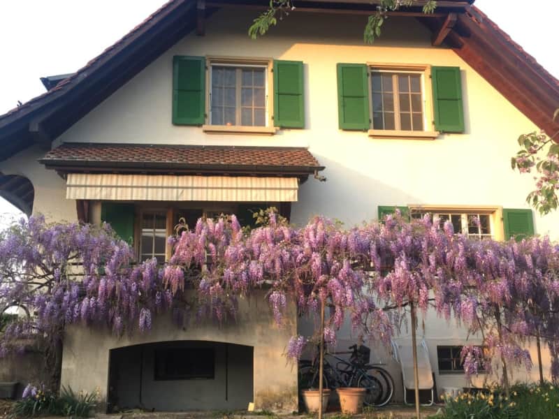 Housesitting assignment in Crans, Switzerland