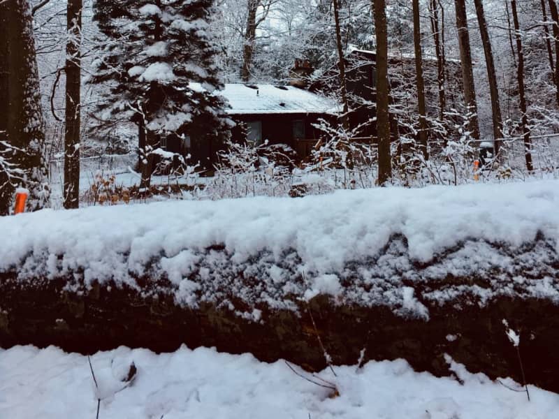 Housesitting assignment in King City, Ontario, Canada