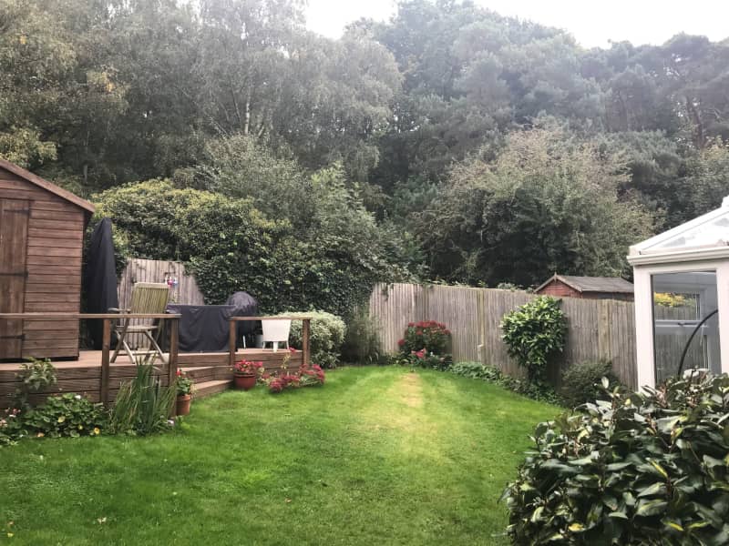 Housesitting assignment in Claygate, United Kingdom