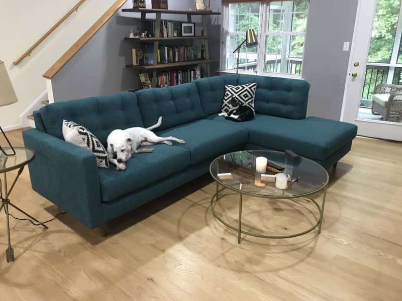 Housesitting assignment in Charlottesville, Virginia, United States
