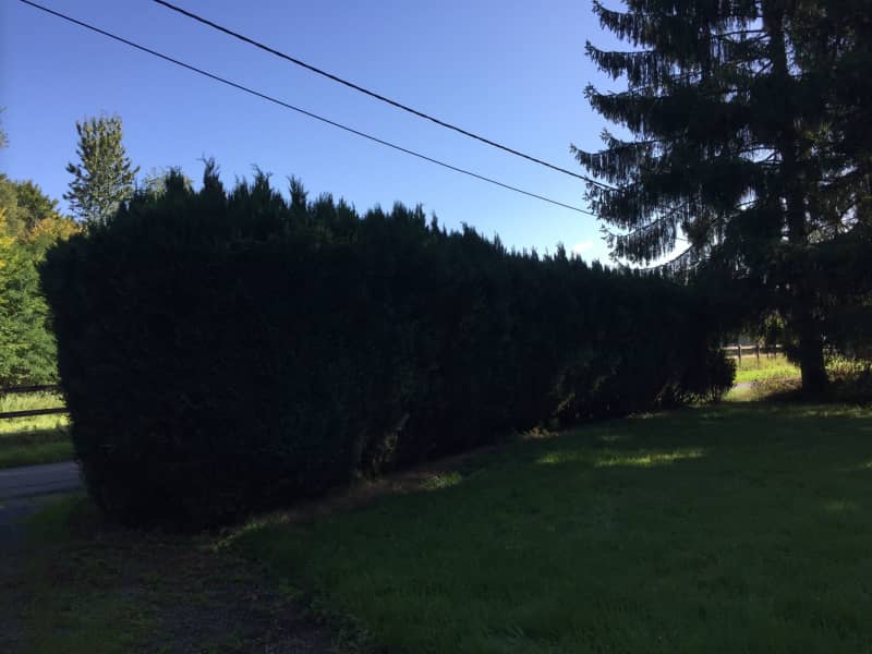 Housesitting assignment in Casteau, Belgium