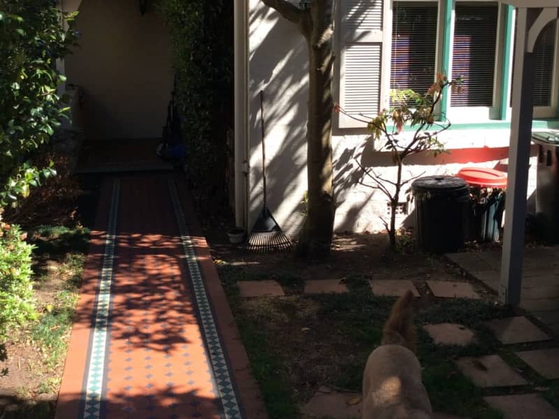 Housesitting assignment in Neutral Bay, New South Wales, Australia