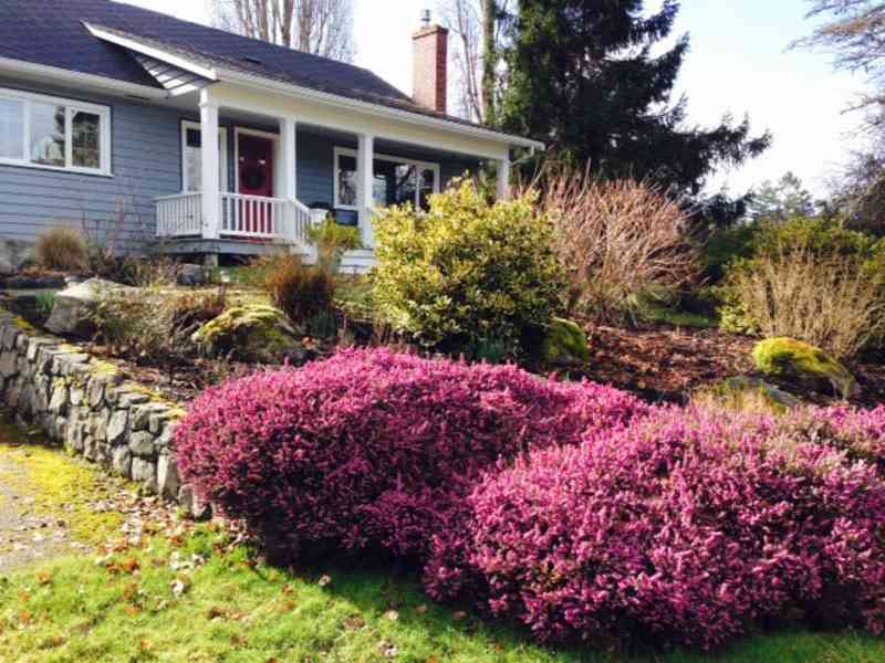 Housesitting assignment in North Saanich, British Columbia, Canada