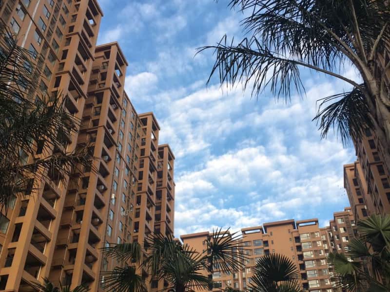 Housesitting assignment in Chengdu, China
