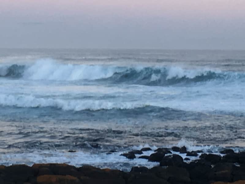 Housesitting assignment in Port Fairy, Victoria, Australia