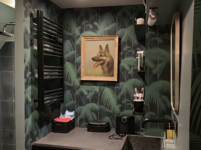 Housesitting assignment in Paris, France