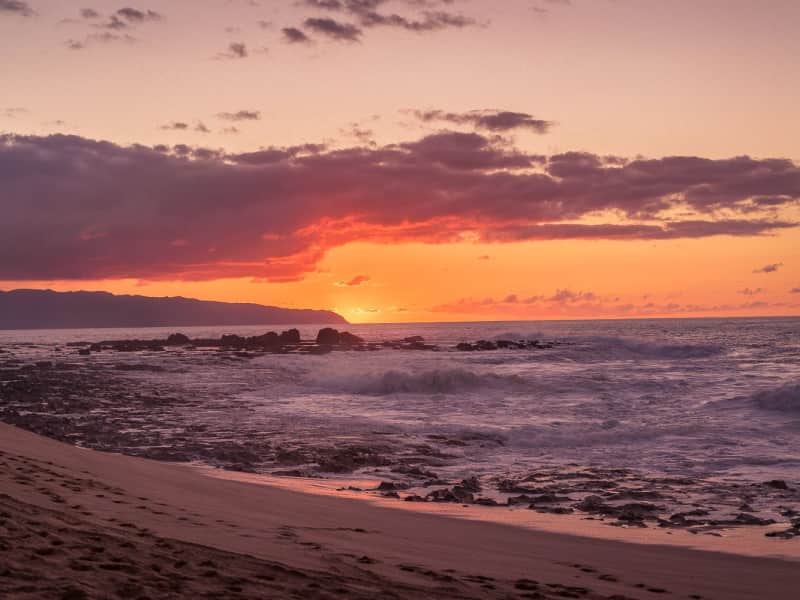Housesitting assignment in Waialua, Hawaii, United States
