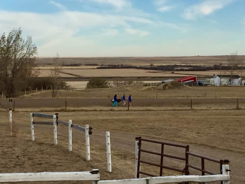 Housesitting assignment in Medicine Hat, Alberta, Canada