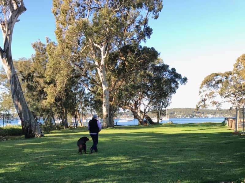 Housesitting assignment in Newcastle, New South Wales, Australia
