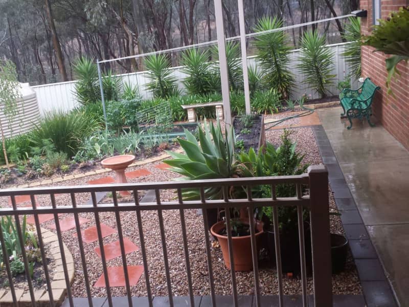 Housesitting assignment in Kangaroo Flat, Victoria, Australia