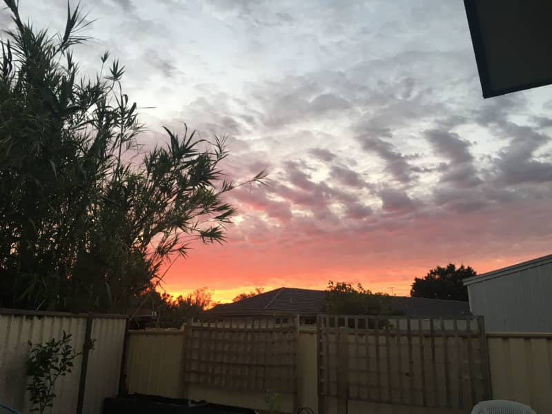 Housesitting assignment in Sunshine West, Victoria, Australia