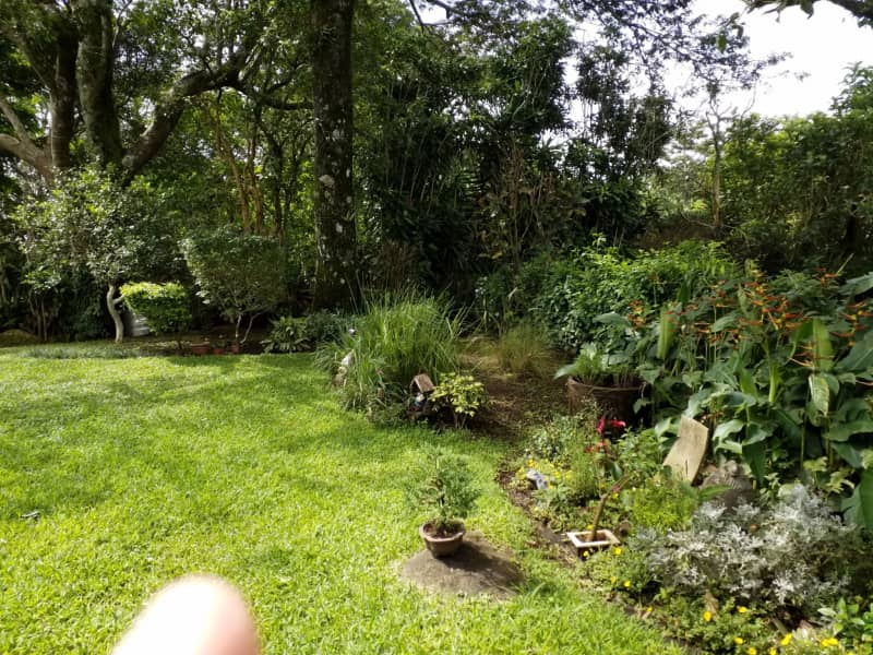Housesitting assignment in Tilarán, Costa Rica