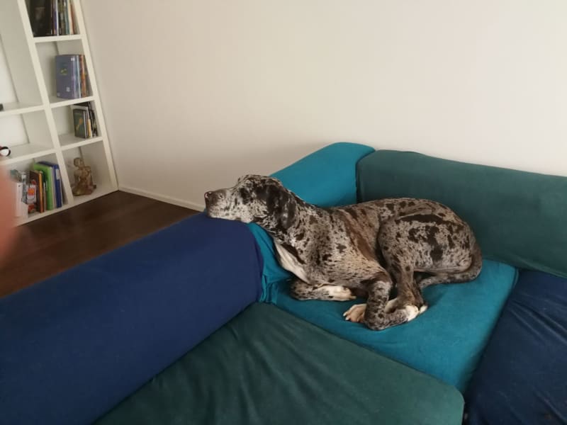 Housesitting assignment in Zollikerberg, Switzerland