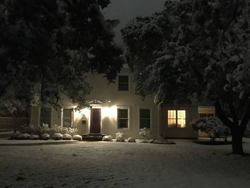 Housesitting assignment in College Station, Texas, United States