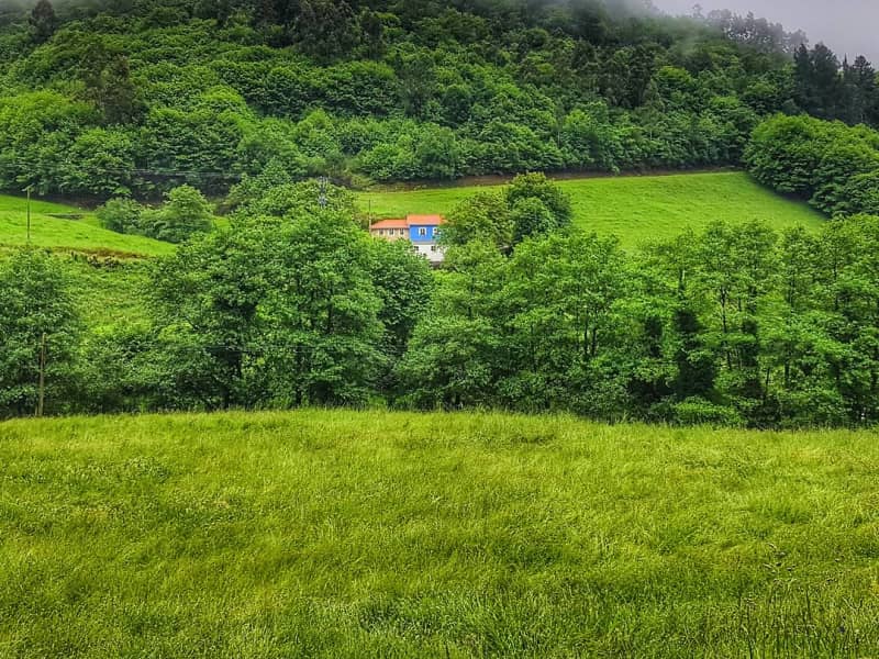 Housesitting assignment in Ferrera de los Gabitos, Spain