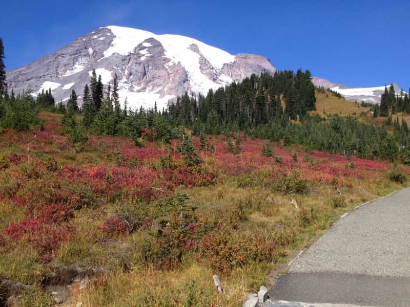 Housesitting assignment in Woodinville, Washington, United States