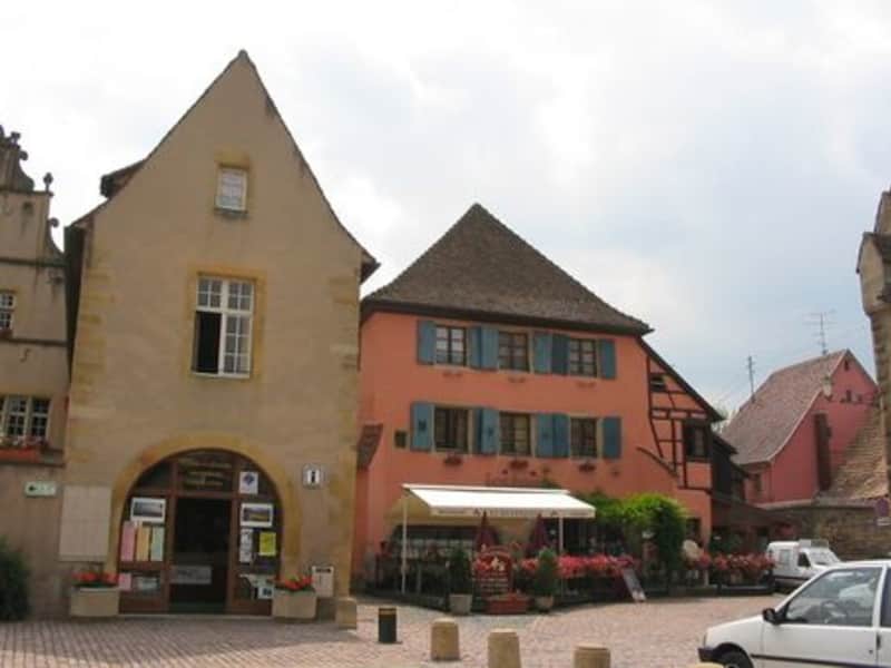 Housesitting assignment in Colmar, France