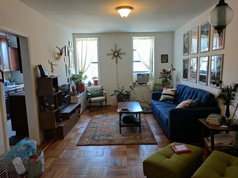 Housesitting assignment in New York City, New York, United States