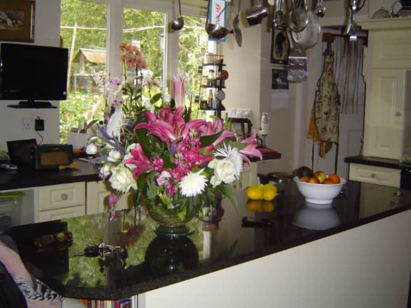 Housesitting assignment in Aberdeen, United Kingdom