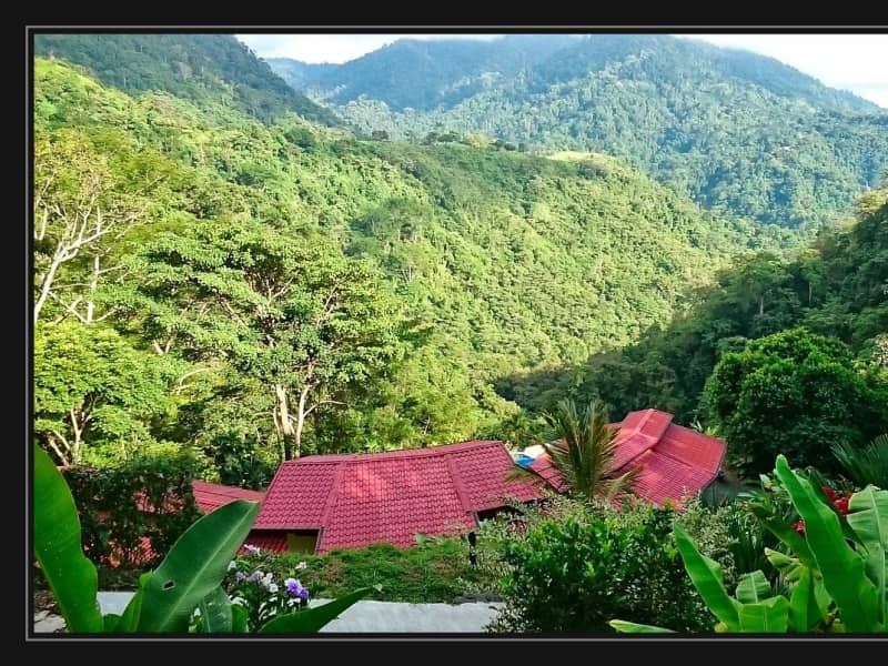 Housesitting assignment in Uvita, Costa Rica