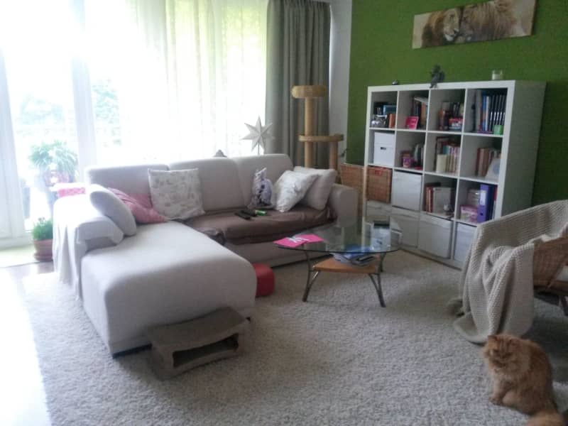 Housesitting assignment in Hamburg, Germany