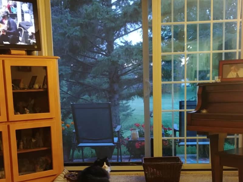 Housesitting assignment in Chaska, Minnesota, United States