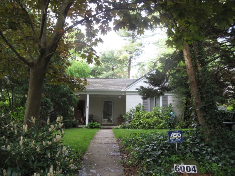 Housesitting assignment in Bethesda, Maryland, United States