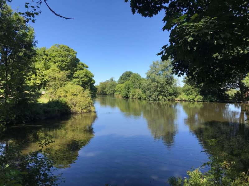 Housesitting assignment in Ilkley, United Kingdom
