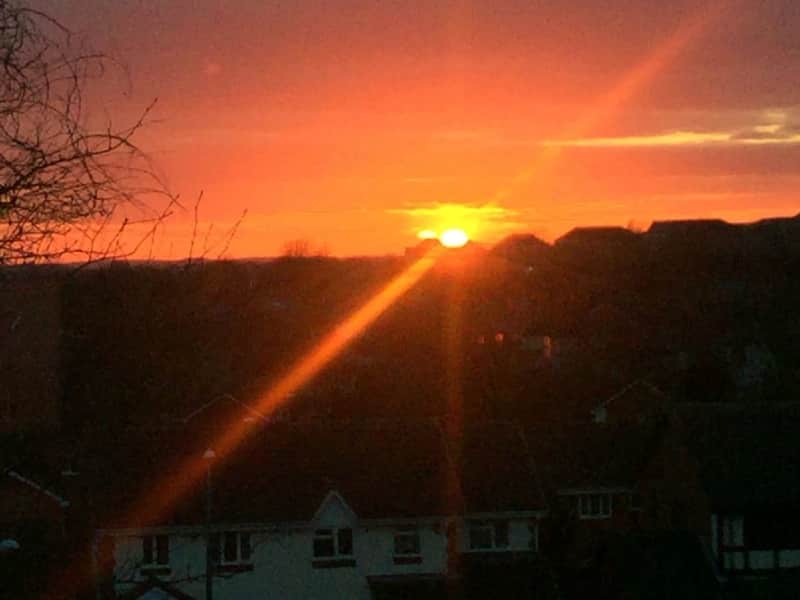 Housesitting assignment in Birmingham, United Kingdom