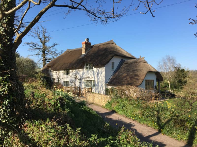 Housesitting assignment in Hemyock, United Kingdom